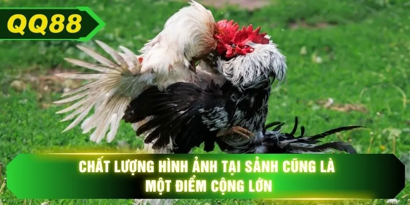 Chất lượng hình ảnh tại sảnh cũng là một điểm cộng lớn