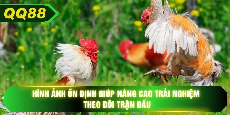 Hình ảnh ổn định giúp nâng cao trải nghiệm theo dõi trận đấu